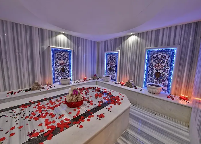 Termal'de Terasli Ve Sik 1+1 5*